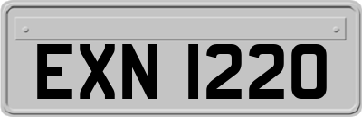 EXN1220