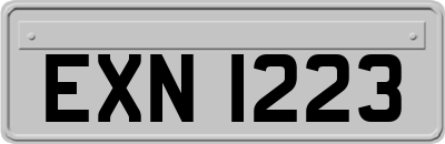 EXN1223