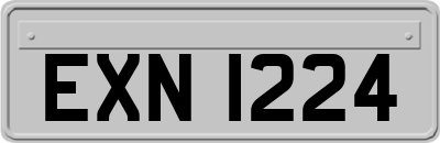 EXN1224