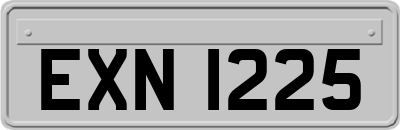 EXN1225