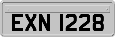 EXN1228