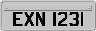 EXN1231