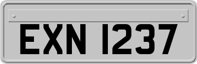 EXN1237