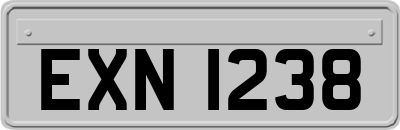 EXN1238