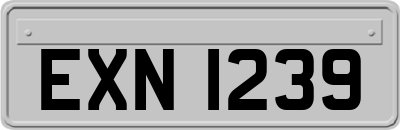 EXN1239