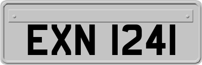 EXN1241