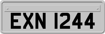 EXN1244