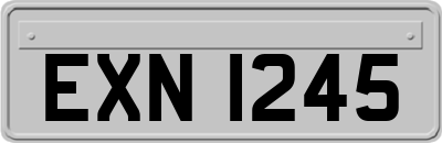 EXN1245