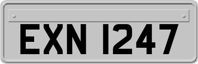 EXN1247