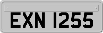 EXN1255