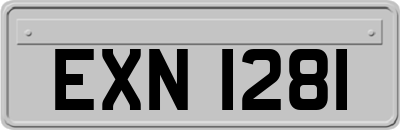 EXN1281