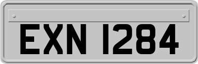 EXN1284