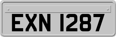 EXN1287