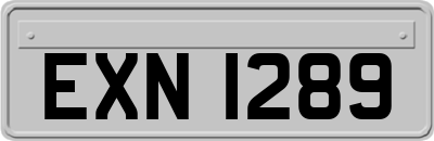 EXN1289