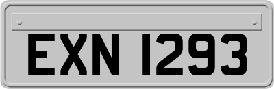 EXN1293