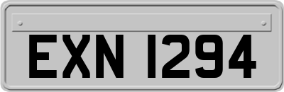 EXN1294