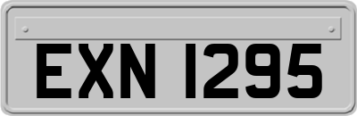 EXN1295