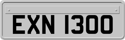 EXN1300