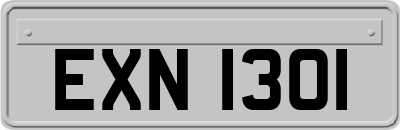 EXN1301