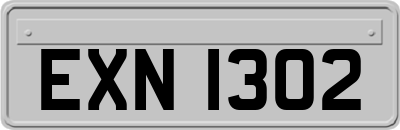 EXN1302