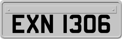 EXN1306