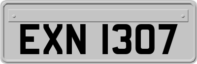 EXN1307