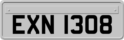 EXN1308