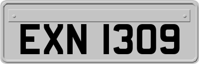 EXN1309
