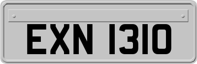 EXN1310