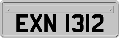 EXN1312