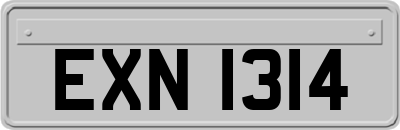 EXN1314