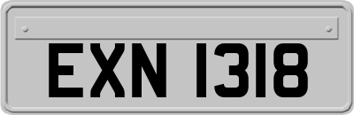 EXN1318