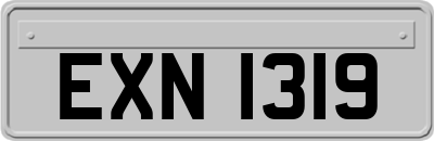 EXN1319