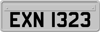EXN1323
