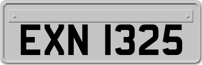 EXN1325