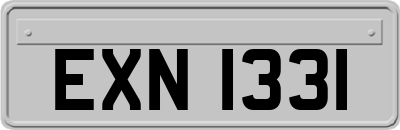 EXN1331