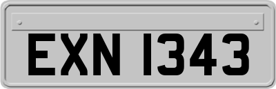 EXN1343