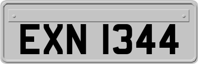 EXN1344