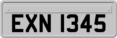 EXN1345