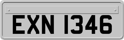 EXN1346