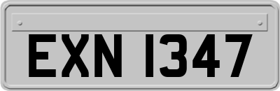 EXN1347