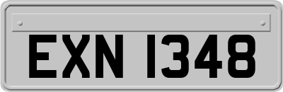 EXN1348