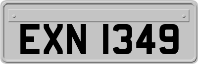 EXN1349