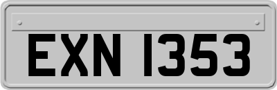EXN1353
