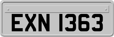 EXN1363