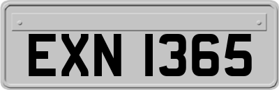 EXN1365