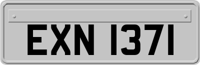 EXN1371