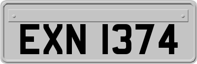 EXN1374