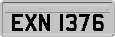 EXN1376