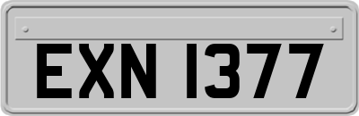 EXN1377